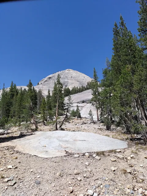 Mammoth Brewing Company