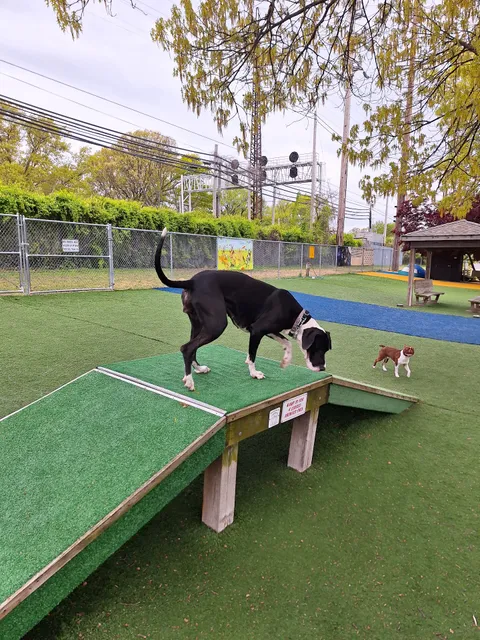 Valley Stream Dog Park (Member Only)