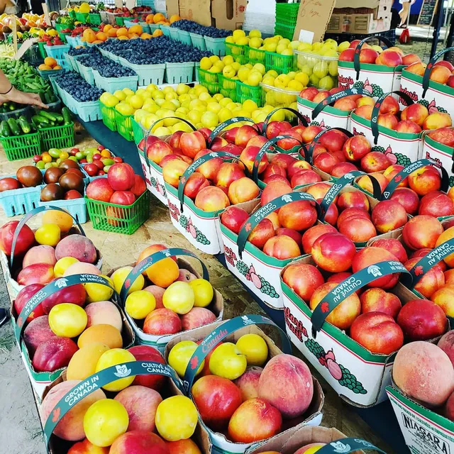 Davisville Farmers Market