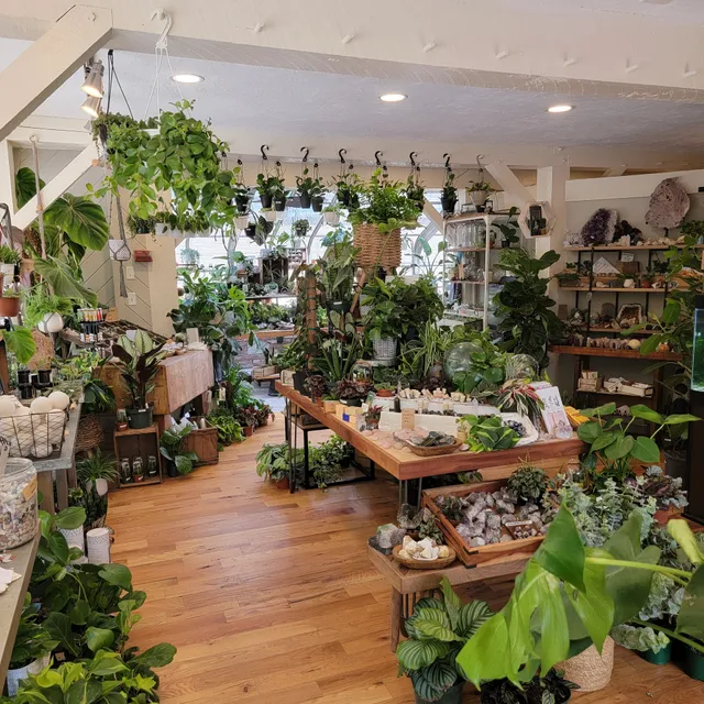 Sage Home Collections