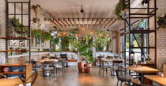 Willow Trentham Gardens