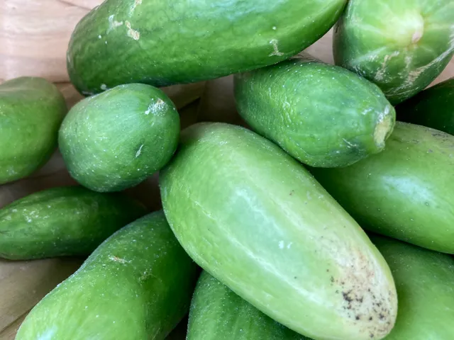 Alvarado Community Farm