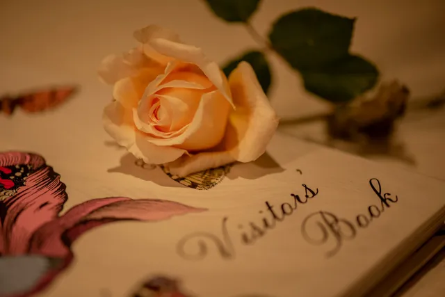 Masito Apartments - The Cozy