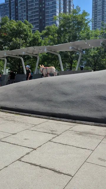 Hunter's Point South Dog Run