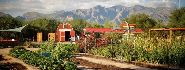 Tucson Village Farm