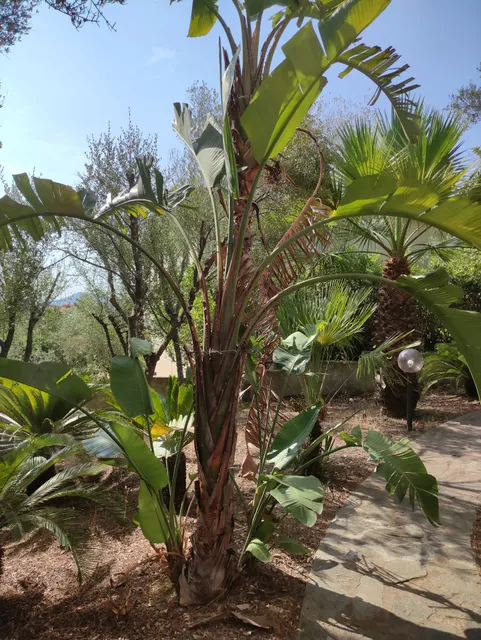 Casa Vacanze Nuraghes