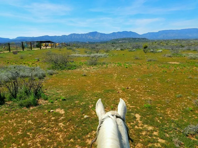 Wild Western Horseback Adventures L.L.C.