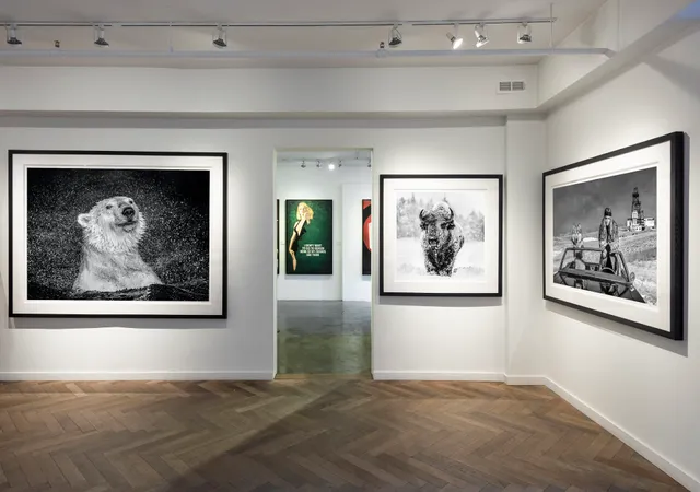 Casterline|Goodman Gallery