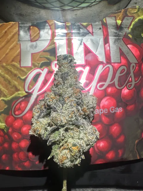 HOG Cannabis Provisioning