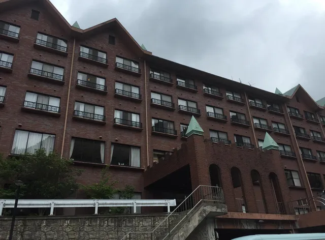 Hôtel de Marronnier Yunoyama Onsen