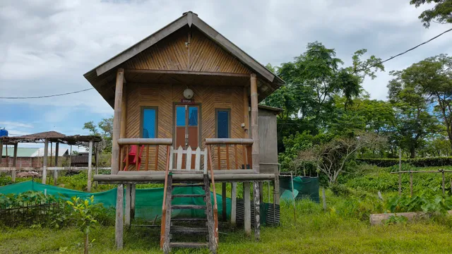 Dibru-Saikhowa Eco Camp of Wave Eco Tourism