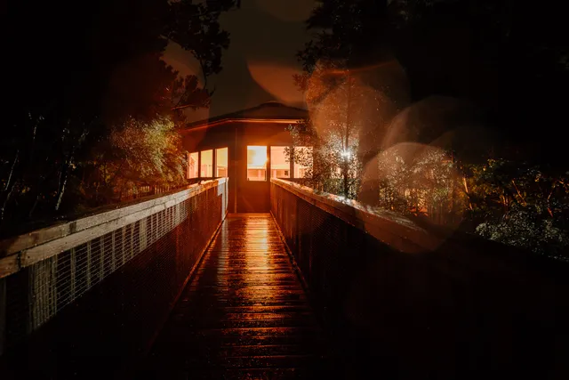 AWAY Waiheke Treehouse & Forest SPA