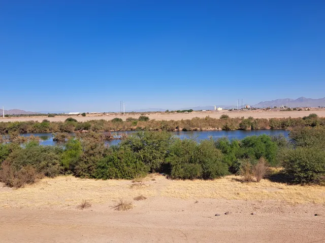 Salt River Walking Path