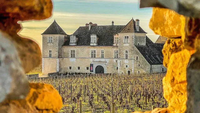Gîtes bo bis - Maisonnette de charme - Vue Château Clos de Vougeot