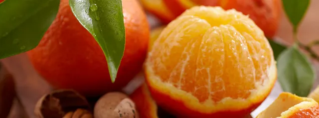 Florida Indian River Groves