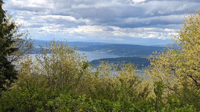 Cougar Mountain Regional Wildland Park