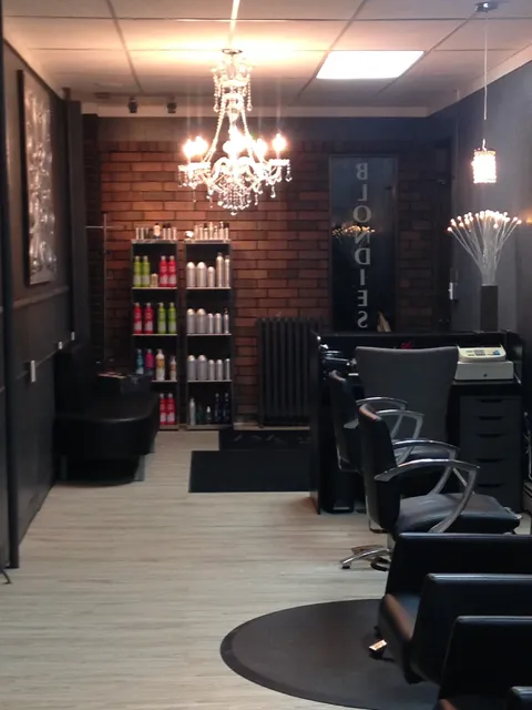 Blondies Salon