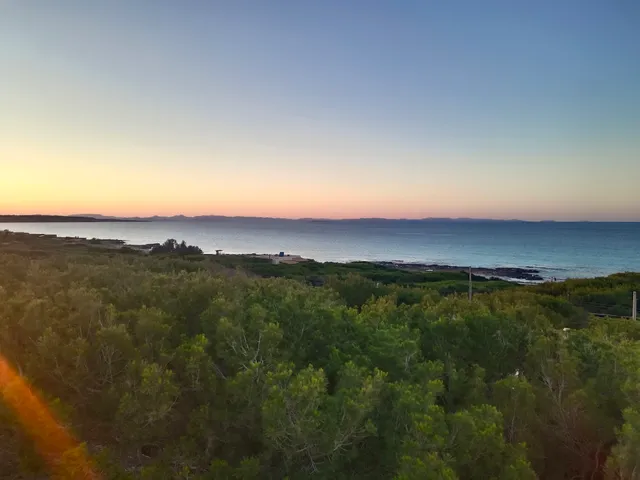 Apartamentos Cas Xurrac