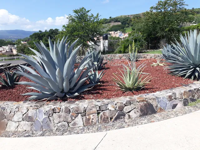 Rancho El Indio, Pension Casa Sauza