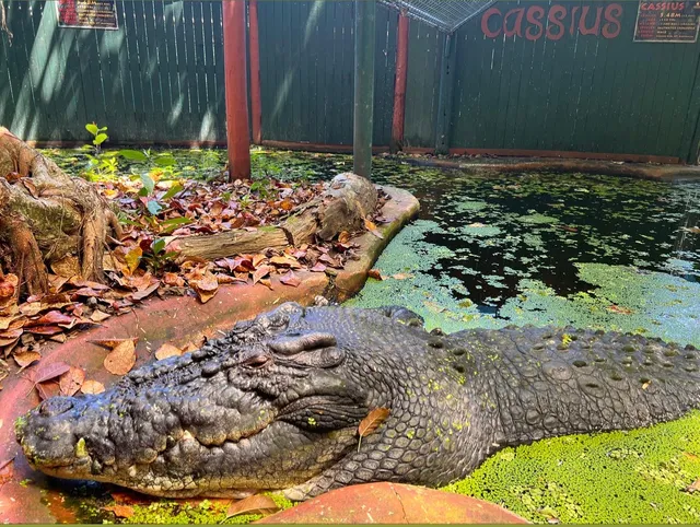 Marineland Croc Park