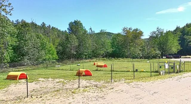 North Creek/Johnsburg Dog Park