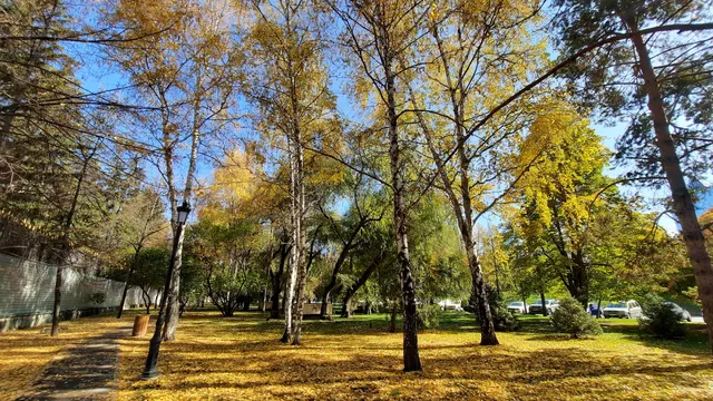 Park of the Foundation of the First President