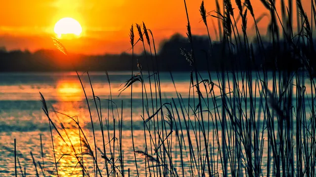 Ferienanlage Ulf Dührkopp