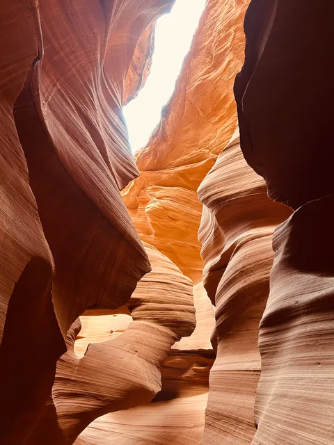 Lower Sandstone cafe