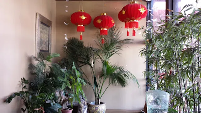 Massage Oasis Spa Inc