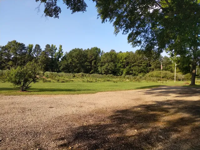 Blueberry Hill-Bossier