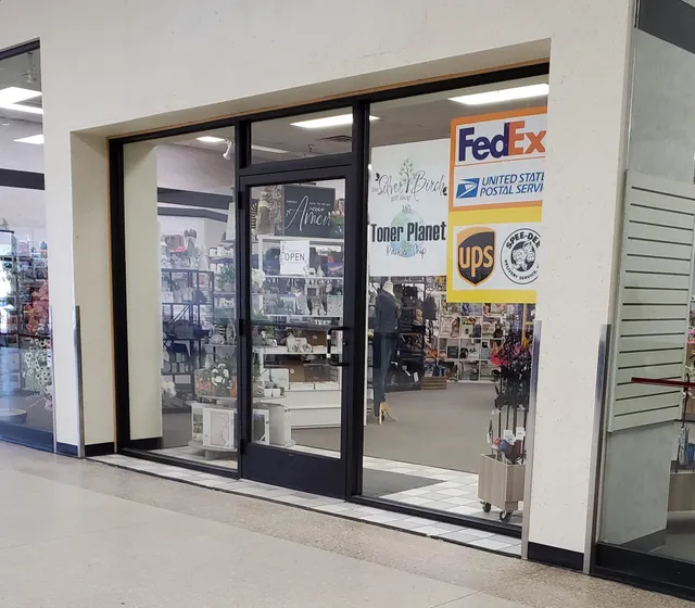 Silver Birch/Toner Planet