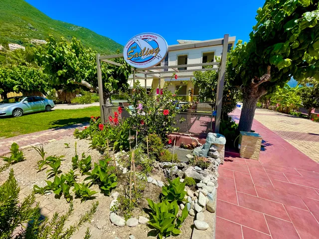 Octopus - Artsailing