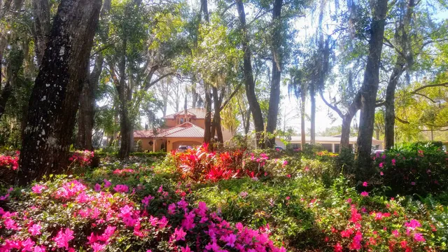 Jim Houser Azalea Garden