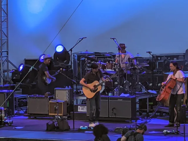 Saturday In the Park Festivals