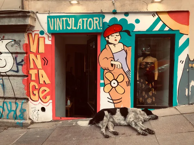Vintylator Vintage shop