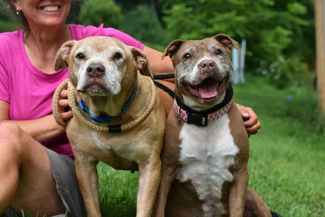 Hudson Valley Animal Rescue & Sanctuary