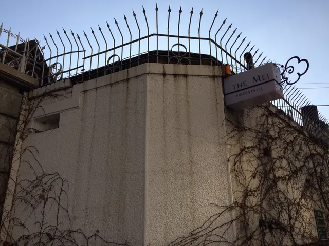 더메이포레스트빌 동대문