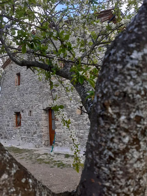 Agriturismo Poggio alla Luna
