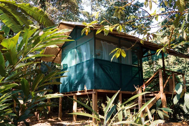Rio Agujitas Eco-Jungle Hostel & Camping