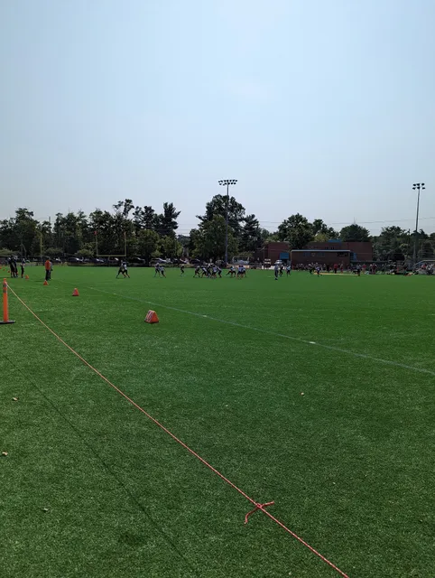 Waters and Caffi Fields