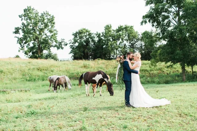 The Farm at Harvest Hills