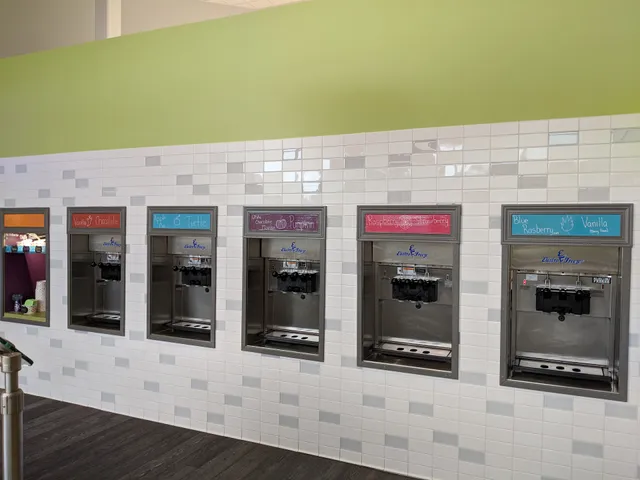 Elsa's Frozen Yogurt