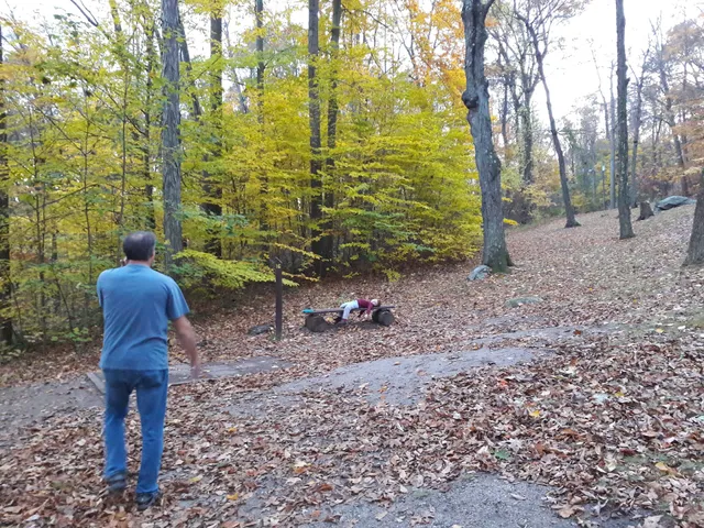 Page Park Disc Golf Course