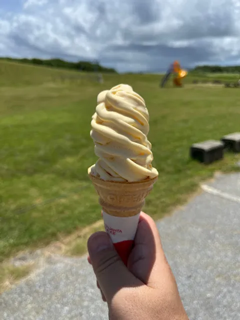 ティダ カフェ ズー