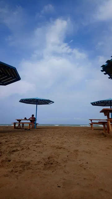 Saffran Tea & Kabab House