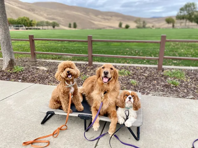 Integrity K9 Academy