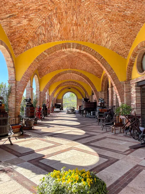 Az.Agricola MONTE TONDO