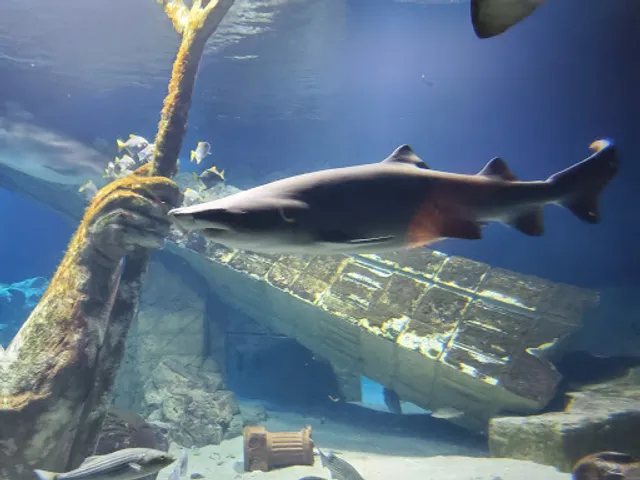 Long Island Aquarium Parking Lot