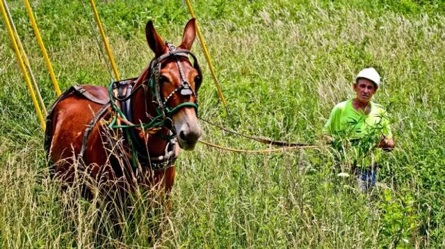 PRTC - People's Rural Telephone Co-Op