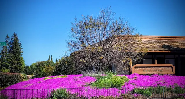 Nichiren Buddhist Temple